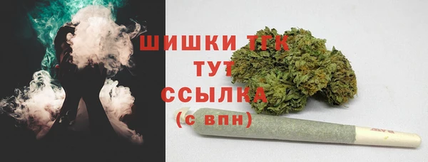 мяу мяу мука Аркадак