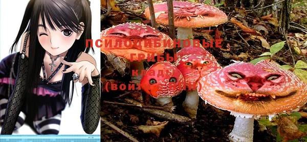 мяу мяу мука Аркадак