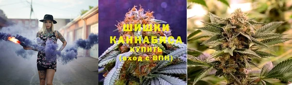 мяу мяу мука Аркадак