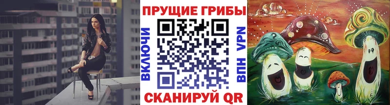 Галлюциногенные грибы Psilocybine cubensis  купить наркотик  Бор 
